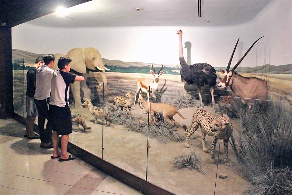 Museo de la Fauna y Ciencias Naturales de Monterrey