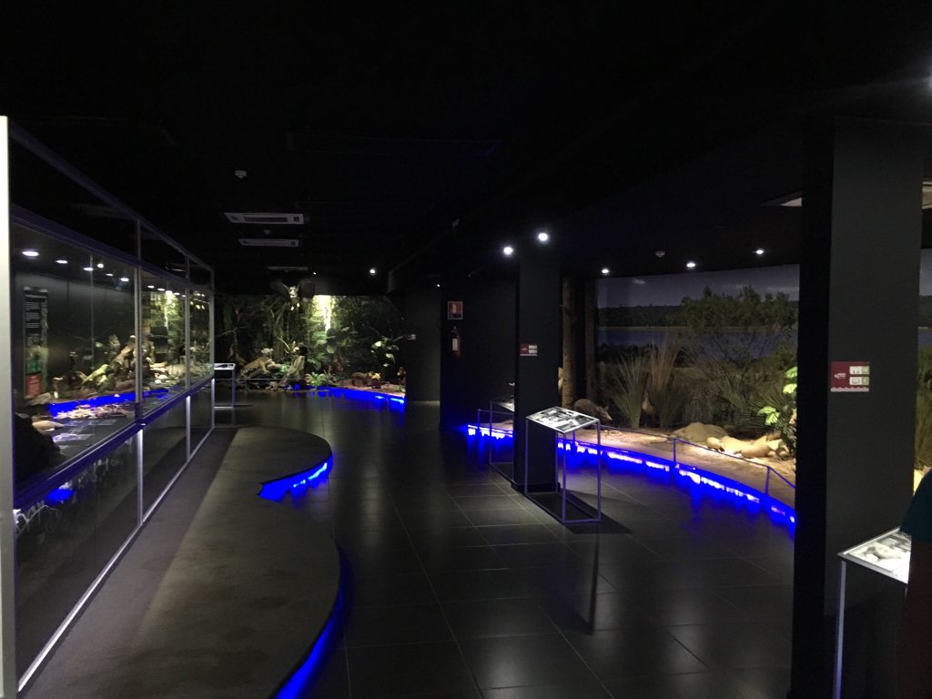 Museo de ITAIPU - Tierra Guarani